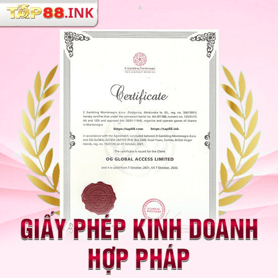Giấy phép kinh doanh hợp pháp TAP88 từ Costa Rica