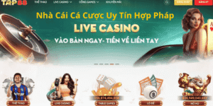 Giấy phép hoạt động TAP88 giúp bảo vệ quyền lợi của người chơi khi cá cược